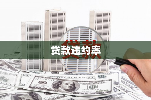 平舆贷款违约率