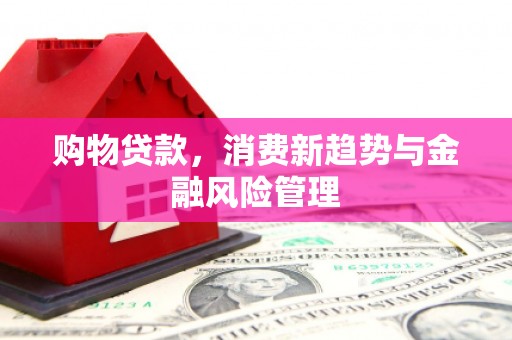 平舆购物贷款，消费新趋势与金融风险管理