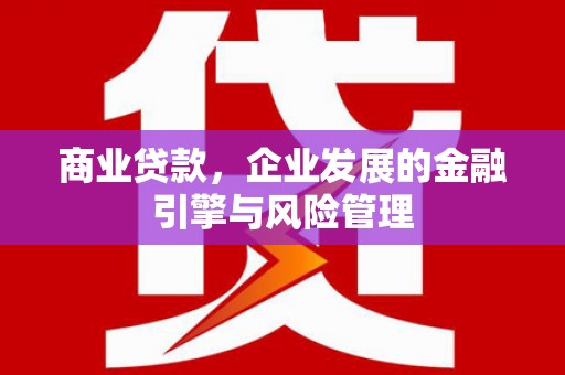 平舆商业贷款，企业发展的金融引擎与风险管理