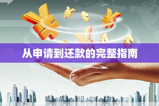 平舆从申请到还款的完整指南