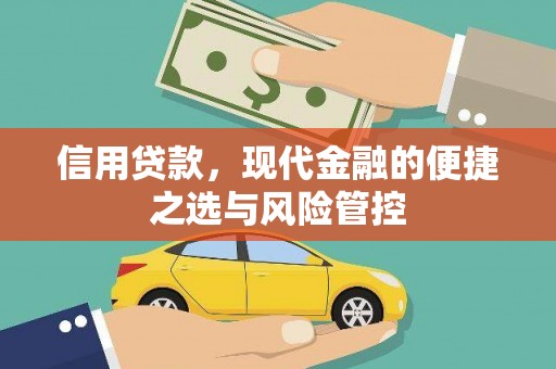 平舆信用贷款，现代金融的便捷之选与风险管控