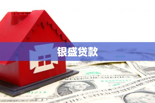 平舆银盛贷款