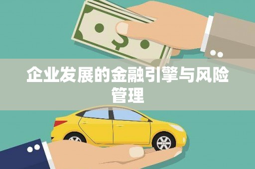 平舆企业发展的金融引擎与风险管理