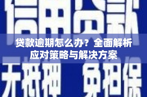 平舆贷款逾期怎么办？全面解析应对策略与解决方案
