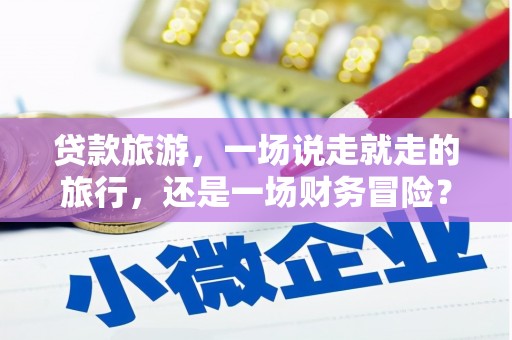 平舆贷款旅游，一场说走就走的旅行，还是一场财务冒险？