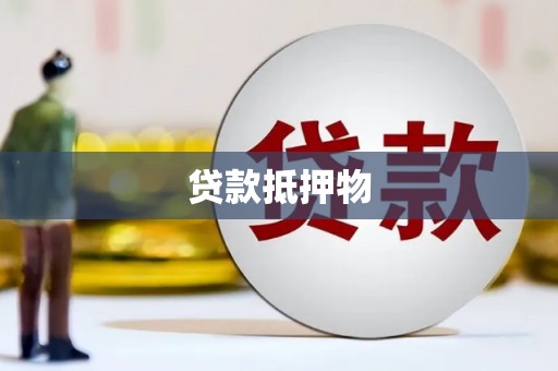 平舆贷款抵押物