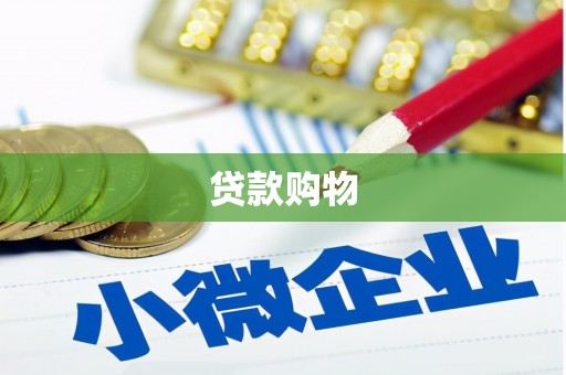平舆贷款购物