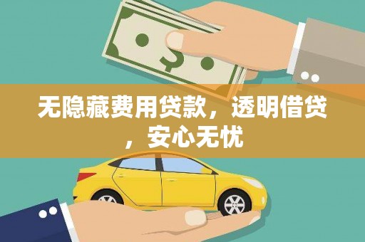 平舆无隐藏费用贷款，透明借贷，安心无忧