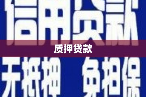平舆质押贷款