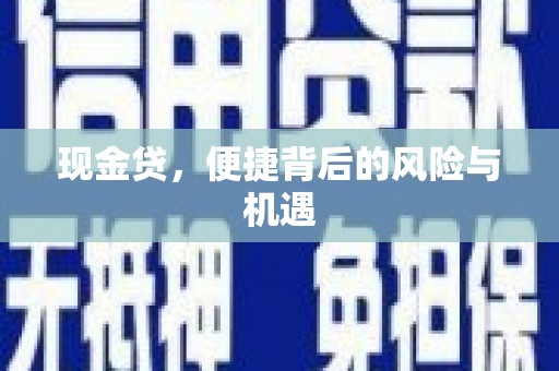 平舆现金贷，便捷背后的风险与机遇