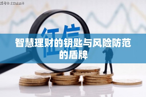 平舆智慧理财的钥匙与风险防范的盾牌