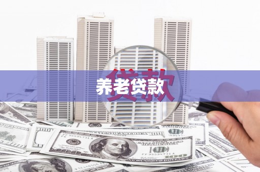 平舆养老贷款