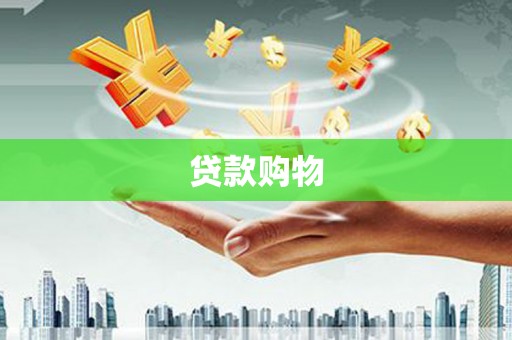 平舆贷款购物
