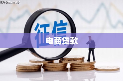 平舆电商贷款