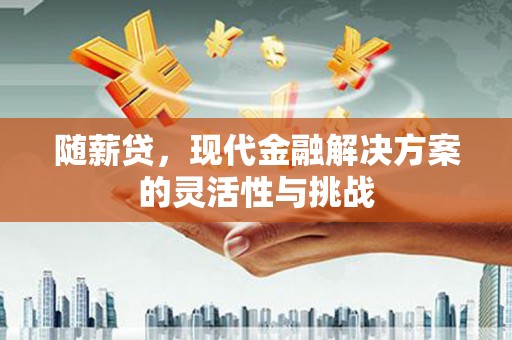 平舆随薪贷，现代金融解决方案的灵活性与挑战