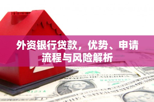 平舆外资银行贷款，优势、申请流程与风险解析