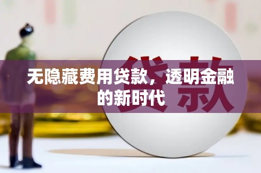 平舆无隐藏费用贷款，透明金融的新时代