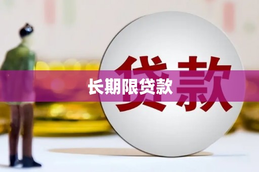平舆长期限贷款