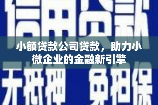 平舆小额贷款公司贷款，助力小微企业的金融新引擎