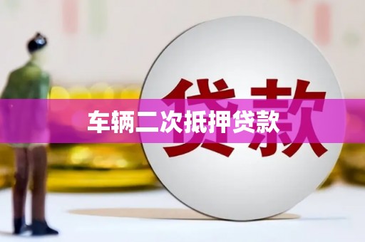 平舆车辆二次抵押贷款