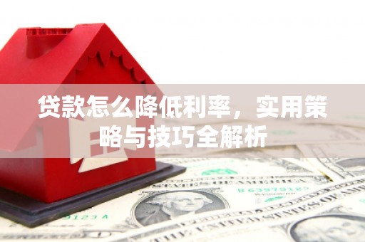 平舆贷款怎么降低利率，实用策略与技巧全解析