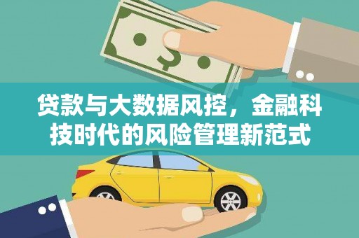 平舆贷款与大数据风控，金融科技时代的风险管理新范式