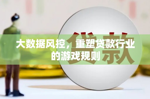 平舆大数据风控，重塑贷款行业的游戏规则