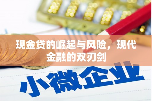 平舆现金贷的崛起与风险，现代金融的双刃剑