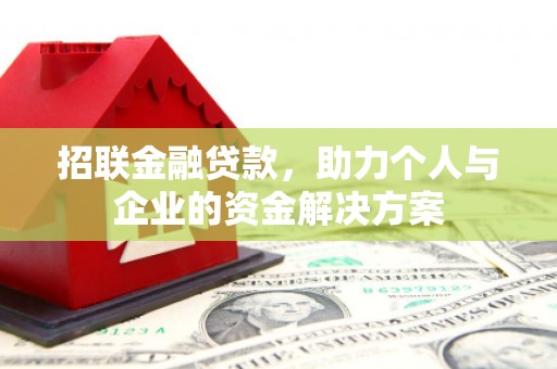 平舆招联金融贷款，助力个人与企业的资金解决方案