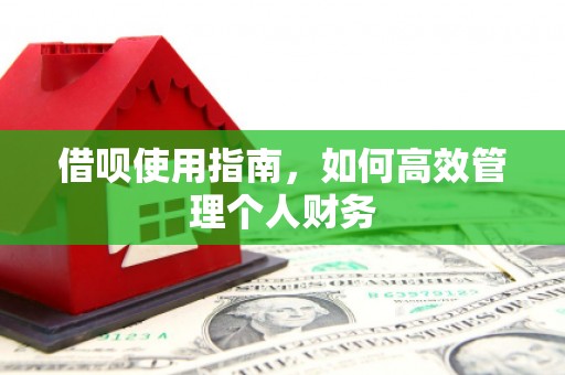 平舆借呗使用指南，如何高效管理个人财务