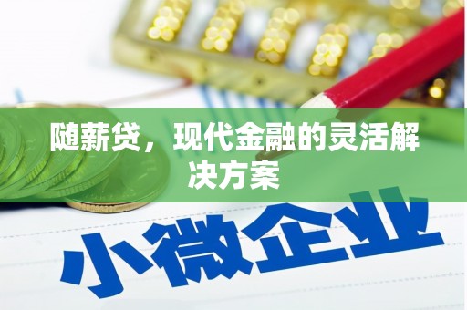 平舆随薪贷，现代金融的灵活解决方案
