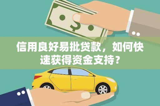 平舆信用良好易批贷款，如何快速获得资金支持？