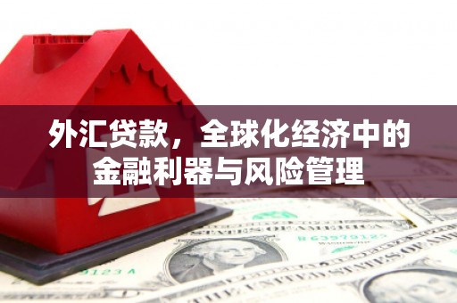 平舆外汇贷款，全球化经济中的金融利器与风险管理