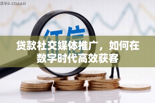 平舆贷款社交媒体推广，如何在数字时代高效获客