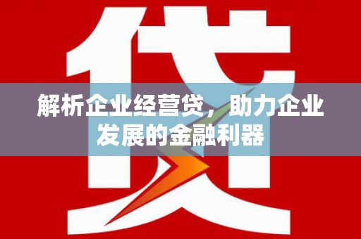 平舆解析企业经营贷，助力企业发展的金融利器