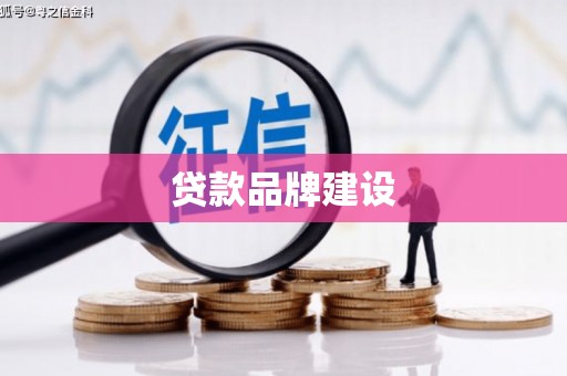 平舆贷款品牌建设