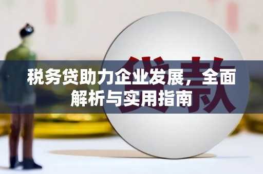 平舆税务贷助力企业发展，全面解析与实用指南