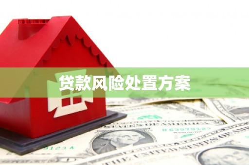 平舆贷款风险处置方案