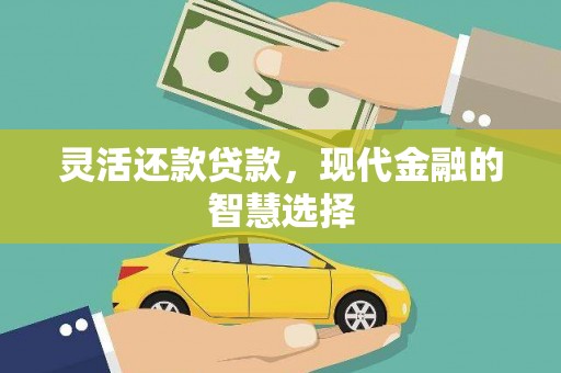 平舆灵活还款贷款，现代金融的智慧选择