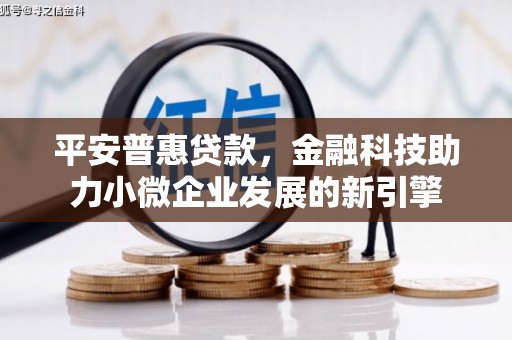 平舆平安普惠贷款，金融科技助力小微企业发展的新引擎
