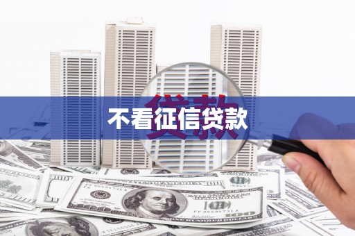 平舆不看征信贷款