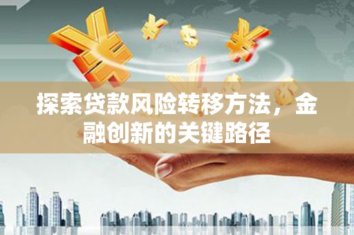 平舆探索贷款风险转移方法，金融创新的关键路径