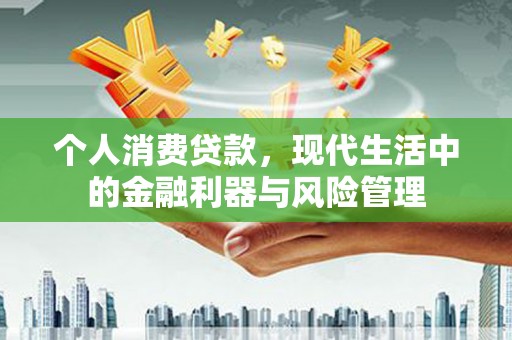 平舆个人消费贷款，现代生活中的金融利器与风险管理