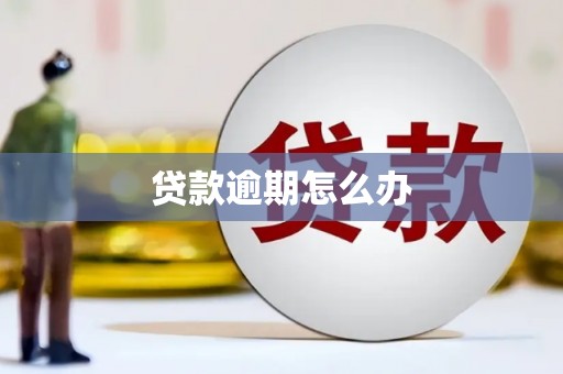 平舆贷款逾期怎么办