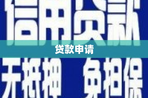 平舆贷款申请