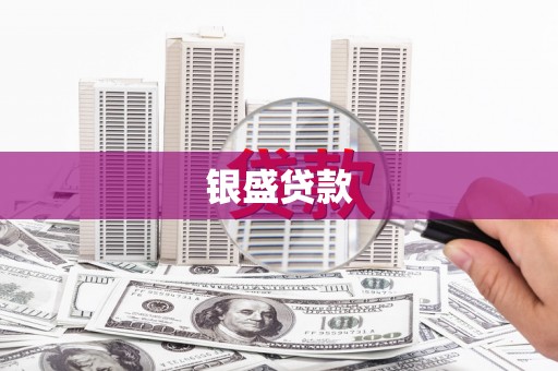 平舆银盛贷款
