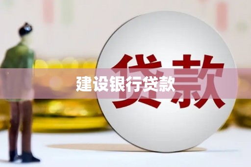 平舆建设银行贷款