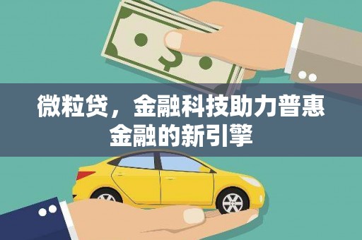 平舆微粒贷，金融科技助力普惠金融的新引擎
