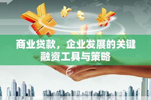 平舆商业贷款，企业发展的关键融资工具与策略