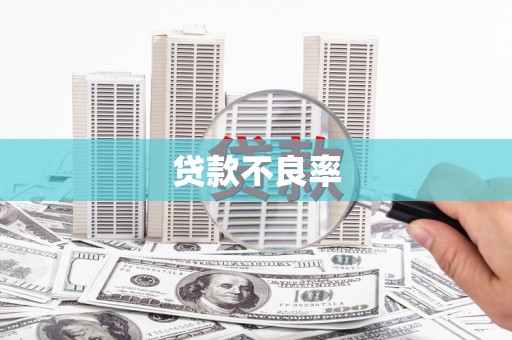 平舆贷款不良率